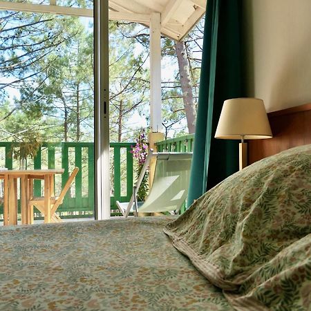 Apt Les Grands Pins, Entre Foret, Lac Et Ocean Каркан Экстерьер фото